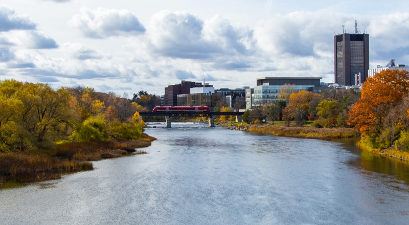 Carleton University